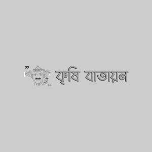 BU মুগ-১